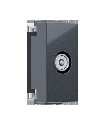 MODYS ΑΝΤΑΠΤΟΡΑΣ ΤΗΛΕΟΡΑΣΗΣ TV-R ΑΡΣΕΝΙΚΟΣ ΑΝΘΡΑΚΙ IP20