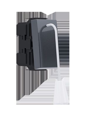 MODYS ΜΠΟΥΤΟΝ ΤΡΑΒΗΧΤΟ ΑΝΘΡΑΚΙ 1P 10A 250VAC IP20