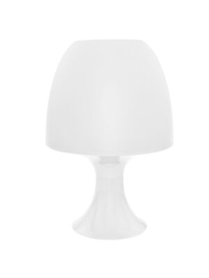 NETTO ΦΩΤΙΣΤΙΚΟ ΠΛΑΣΤΙΚΟ ΛΕΥΚΟ 1ΧΕ14 Φ160X255ΜM