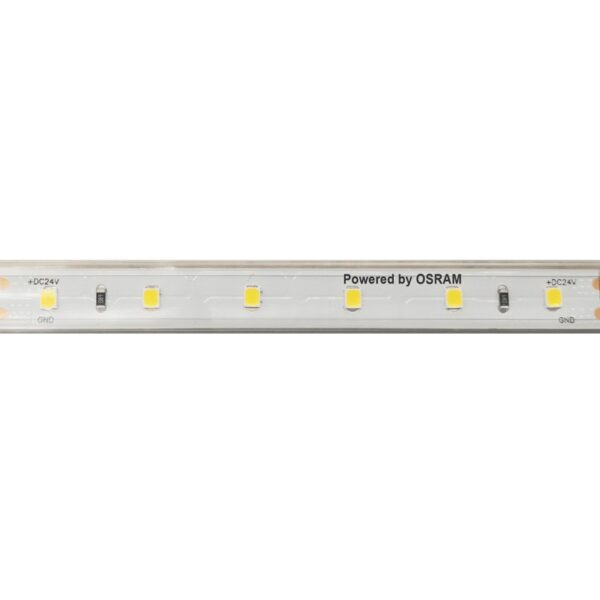 LED SMD STRIP 24V DC 12W/M 3000K 1250LM/M IP66 12MM Ra80 OSRAM 2835 60LEDS/M 3SDCM 5M REEL 5YRS