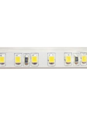 LED STRIP 5M 12W/M 24V DC IP65 6000K Ra80