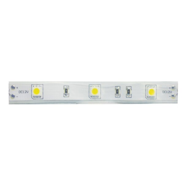 ΛΩΡΙΔΑ LED SMD 24V DC 5M 7,2W/M IP65 ΜΠΛΕ
