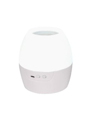 2 IN 1 8W LED NIGHT LIGHT & PROJECTOR WITH 4 PATTERNS AND 1M USB CABLE OR 3XAA