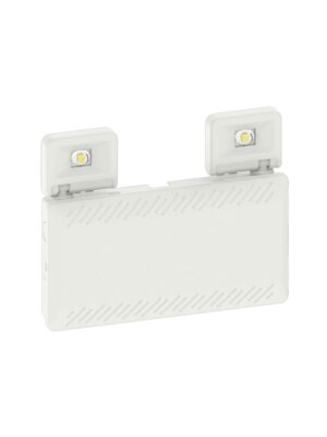 LED ΦΩΤΙΣΤΙΚΟ ΑΣΦΑΛΕΙΑΣ ΜΗ ΣΥΝΕΧΟΥΣ ΜΕ ΚΟΥΜΠΙ ΔΟΚΙΜΗΣ & SELF TEST230V AC 500LM 6000K IP65 2x2W 3HRS