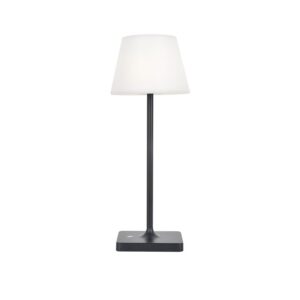 LED SMD TABLE BATTERY LUMINAIRE 2W 170LM  3.000K DARK GREY 360°  CRI80 IP54