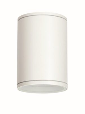 ΣΠΟΤ ΤΟΙΧΟΥ ΑΡΧΙΤΕΚΤΟΝΙΚΟΥ ΦΩΤΙΣΜΟΥ ΣΚΟΥΡΙΝΟ ΑΛΟΥΜΙΝΙΟ ΣΥΜΒΑΤΙΚΟ 1xΕ27 IP65 Φ120x170mm