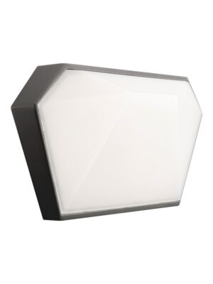 LED SMD WALL LUMINAIRE 10W 400LM 120° 230V AC 3.000K DARK GREY CRI80 IP65 30.000HRS
