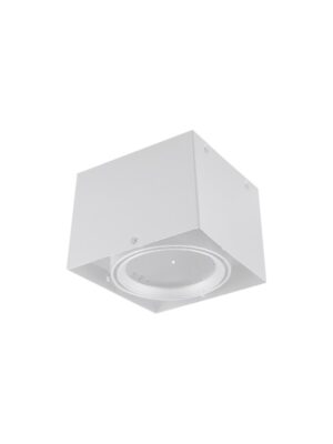 ΣΠΟΤ ΟΡΟΦΗΣ AR111 ΜΟΝΟ ΛΕΥΚΟ 150x150x120