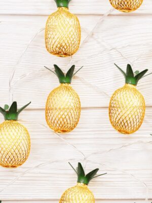 ΔΙΑΚΟΣΜΗΤΙΚΑ ΛΑΜΠΑΚΙΑ ΑΝΑΝΑ ΜΕΤΑΛΛΙΚΟ 10 LED ΣΕ ΣΕΙΡΑ ΘΕΡΜΟ ΛΕΥΚΟ ΜΠΑΤΑΡΙΕΣ 3xΑΑ ΜΕ ΚΑΛΩΔΙΟ ΔΙΑΦΑΝΟ 300mm IP20 1350mm