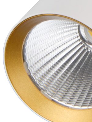 ΧΡΥΣΟ ΠΛΑΣΤΙΚΟ ΔΑΧΤΥΛΙΔΙ