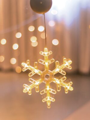 ΧΙΟΝΟΝΙΦΑΔΑ ΠΛΑΣΤΙΚΟΣ 10 LED  ΘΕΡΜΟ ΛΕΥΚΟ ΜΕ ΜΠΑΤΑΡΙΕΣ 3ΧΑΑΑ IP20 170X200mm