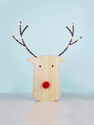 ΧΡΙΣΤΟΥΓΕΝΝΙΑΤΙΚΟ ΔΙΑΚΟΣΜΗΤΙΚΟ ΞΥΛΙΝΟ ΤΑΡΑΝΔΟΣ 10 MINI LED ΘΕΡΜΟ ΛΕΥΚΟ ΜΕ ΜΠΑΤΑΤΑΡΙΕΣ 2XAA IP20 170x30x180mm