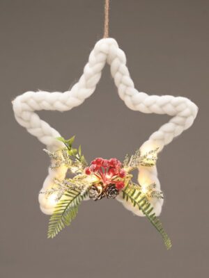 ΑΣΤΕΡΙ 10 LED ΘΕΡΜΟ ΣΤΑΘΕΡΟ ΜΠΑΤΑΡΙΕΣ (2ΧΑΑ) 300mm IP20 ΜΕ ΚΑΛΩΔΙΟ ΧΑΛΚΟΥ 3m