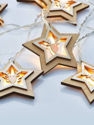 ΔΙΑΚΟΣΜΗΤΙΚΑ ΛΑΜΠΑΚΙΑ ΞΥΛΙΝΑ ΑΣΤΕΡΙΑ ΜΕ ΣΧΕΔΙΟ ΤΑΡΑΝΔΟ 10 LED ΣΕ ΣΕΙΡΑ ΘΕΡΜΟ ΛΕΥΚΟ ΜΠΑΤΑΡΙΕΣ 3xΑΑ ΜΕ ΚΑΛΩΔΙΟ ΔΙΑΦΑΝΟ 300mm IP20 1350mm