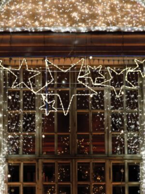 ΑΣΤΕΡΙΑ ΜΟΝΟΚΑΝΑΛΟΣ ΦΩΤΟΣΩΛΗΝΑΣ 264 LED 11m ΘΕΡΜΟ ΛΕΥΚΟ ΣΤΑΘΕΡΑ IP44 870x2370mm ΜΕ 1.5m ΚΑΛΩΔΙΟ