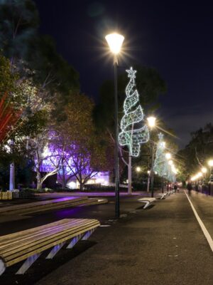 ΕΠΙΣΤΗΛΟ ΔΙΑΚΟΣΜΗΤΙΚΟ ΧΡΙΣΤΟΥΓΕΝΝΙΑΤΙΚΟ ΔΕΝΤΡΟ 270 LED ΨΥΧΡΟ ΛΕΥΚΟ ΜΟΝΟΚΑΝΑΛΟ 7.5m & 200 LED ΛΑΜΠΑΚΙΑ ΠΡΑΣΙΝΑ ΣΤΑΘΕΡΑ ΜΕ 1.5m ΚΑΛΩΔΙΟ IP65 750x2000mm