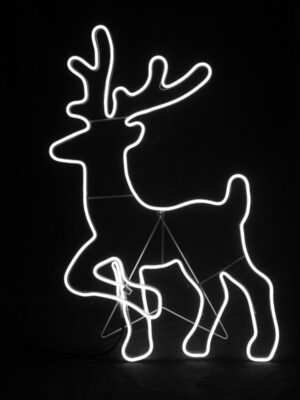 ΤΑΡΑΝΔΟΣ ΟΡΘΙΟΣ 500 LED NEON ΦΩΤΟΣΩΛΗΝΑ 5m SMD ΨΥΧΡΟ ΛΕΥΚΟ ΣΤΑΘΕΡΟ ΜΕ 1.5m ΚΑΛΩΔΙΟ IP44 540x820mm