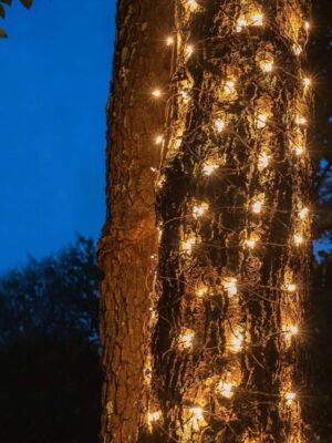 ΛΑΜΠΑΚΙΑ ΔΙΧΤΥ 50 LED FLASH ΘΕΡΜΟ ΛΕΥΚΟ ΠΡΑΣΙΝΟ ΚΑΛΩΔΙΟ ΜΕ ΑΝΤΑΠΤΟΡΑ 31VDC & ΜΕ ΔΥΝΑΤΟΤΗΤΑ ΕΠΕΚΤΑΣΗΣ & 5 ΑΓΓΙΣΤΡΑ IP44 550x800mm