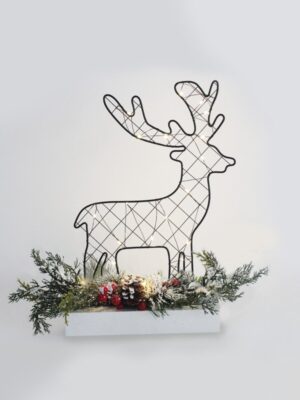 ΔΙΑΚΟΣΜΗΤΙΚΟ ΣΕ ΣΧΗΜΑ ΤΑΡΑΝΔΟ 30 MINI LED ΘΕΡΜΟ ΛΕΥΚΟ ΜΕ ΜΠΑΤΑΡΙΕΣ 3ΧAA IP20 250x50x300mm