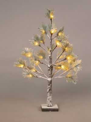 ΔΙΑΚΟΣΜΗΤΙΚΟ ΠΕΥΚΟΔΕΝΤΡΟ 24 LED ΘΕΡΜΟ ΛΕΥΚΟ ΜΕ ΚΑΦΕ ΚΑΛΩΔΙΟ 3M & ΑΝΤΑΠΤΟΡΑ 24VDC IP20 100X100X60mm