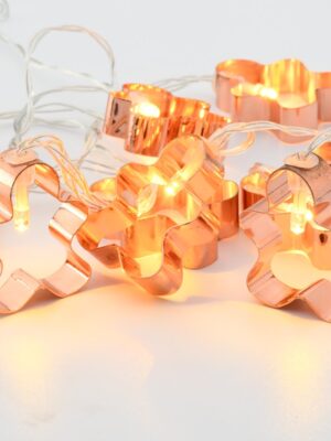 ΔΙΑΚΟΣΜΗΤΙΚΑ ΛΑΜΠΑΚΙΑ ΜΠΙΣΚΟΤΟ ΜΕΤΑΛΛΙΚΟ 10 LED ΣΕ ΣΕΙΡΑ ΘΕΡΜΟ ΛΕΥΚΟ ΜΠΑΤΑΡΙΕΣ 2xΑΑ ΜΕ ΚΑΛΩΔΙΟ ΔΙΑΦΑΝΟ 300mm IP20 1350mm