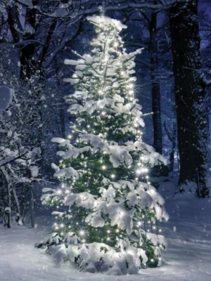 ΧΡΙΣΤΟΥΓΕΝΝΙΑΤΙΚΑ ΛΑΜΠΑΚΙΑ ΧΤΑΠΟΔΙ 10 ΣΕΙΡΕΣx35 ΛΑΜΠΑΚΙΑ ΨΥΧΡΟ ΛΕΥΚΟ ΑΝΤΑΠΤΟΡΑ (31VDC) & ΠΡΑΣΙΝΟ ΚΑΛΩΔΙΟ 3m IP44 100x3500mm