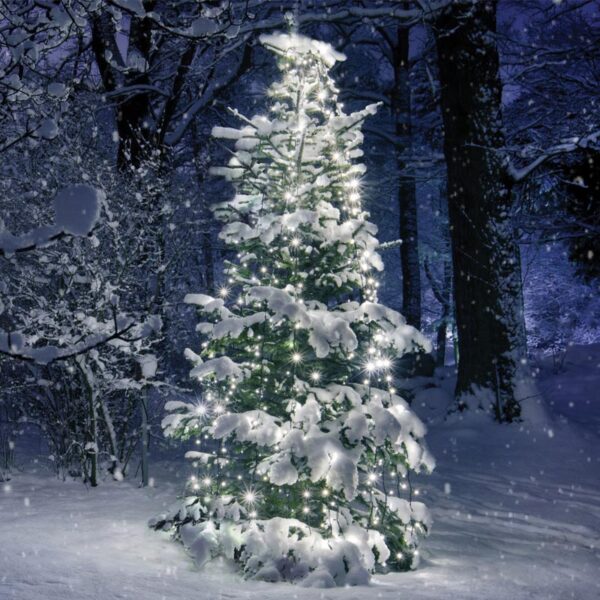 ΧΡΙΣΤΟΥΓΕΝΝΙΑΤΙΚΑ ΛΑΜΠΑΚΙΑ ΧΤΑΠΟΔΙ 10 ΣΕΙΡΕΣx35 ΛΑΜΠΑΚΙΑ ΨΥΧΡΟ ΛΕΥΚΟ ΑΝΤΑΠΤΟΡΑ (31VDC) & ΠΡΑΣΙΝΟ ΚΑΛΩΔΙΟ 3m IP44 100x3500mm