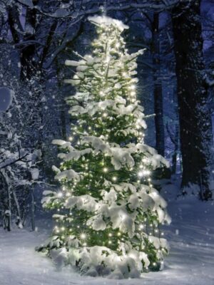 ΧΡΙΣΤΟΥΓΕΝΝΙΑΤΙΚΑ ΛΑΜΠΑΚΙΑ ΧΤΑΠΟΔΙ 10 ΣΕΙΡΕΣx35 ΛΑΜΠΑΚΙΑ ΘΕΡΜΟ ΛΕΥΚΟ ΠΡΑΣΙΝΟ ΚΑΛΩΔΙΟ 3m ΑΝΤΑΠΤΟΡΑΣ 31VDC IP44 100x3500mm