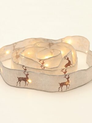 ΛΑΜΠΑΚΙΑ ΔΙΑΚΟΣΜΗΤΙΚΑ ΣΧΕΔΙΟ ΦΙΟΓΚΟΣ ΛΕΥΚΟΣ ΜΕ ΤΑΡΑΝΔΟΥΣ 20 LED 1.2W ΘΕΡΜΟ ΛΕΥΚΟ ΜΕ ΜΠΑΤΑΡΙΑ 2xAA (ΔΕΝ ΣΥΜΠ) & ΚΑΛΩΔΙΟ ΧΑΛΚΟΥ 2m IP20 300mm